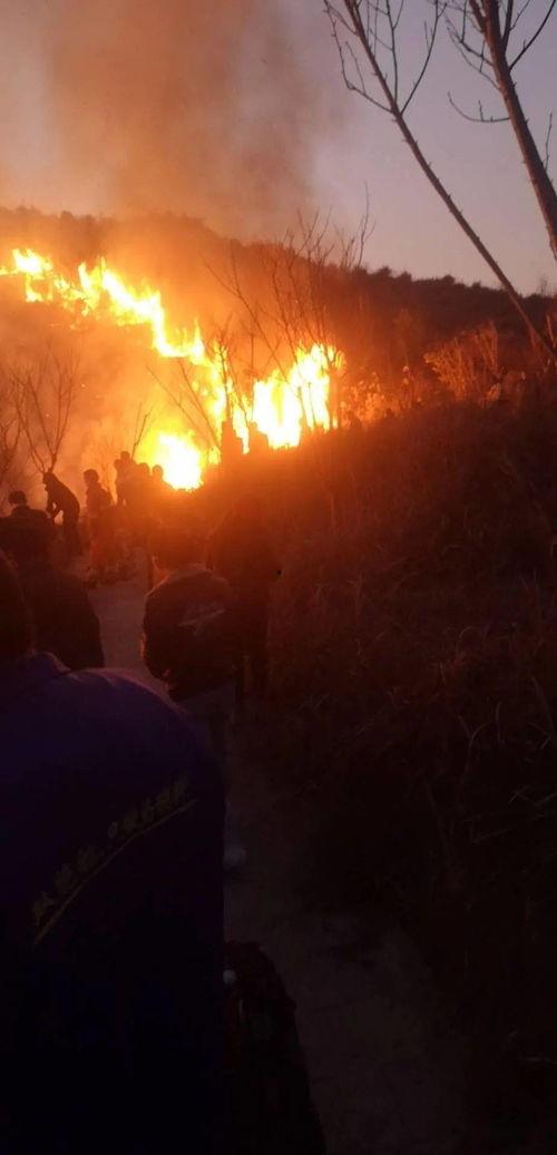 狮子山爆料视频最新,最新热点事件深度解析 第3张 狮子山爆料视频最新,最新热点事件深度解析 第3张